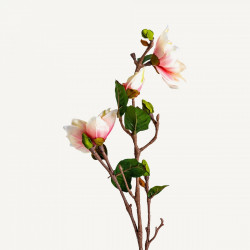 Fiore yulan bianco e rosa -...