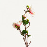 Fiore yulan bianco e rosa - Vical Living Spaces